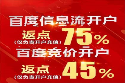 竞价SEM助力电商平台快速提升流量